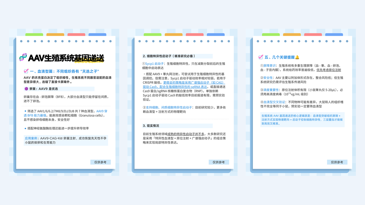 AAV 生殖系统基因递送:血清型、递送路径与启动子策略图解