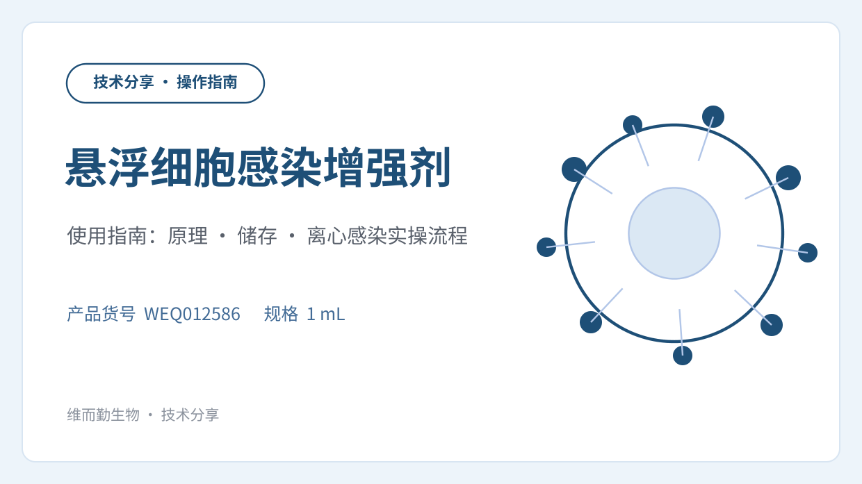 悬浮细胞感染增强剂使用指南:原理、储存与离心感染实操